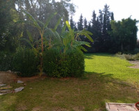 Venta - Detached house - Daya Nueva