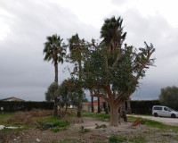 Venta - Detached Villa - Daya Vieja