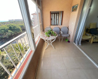 Venta - Estudio - Guardamar del Segura