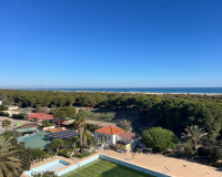Venta - Estudio - Guardamar del Segura