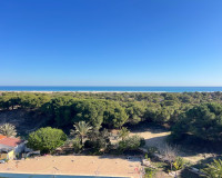 Venta - Estudio - Guardamar del Segura