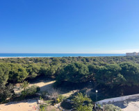 Venta - Estudio - Guardamar del Segura