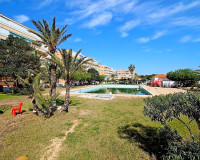 Venta - Estudio - Guardamar del Segura