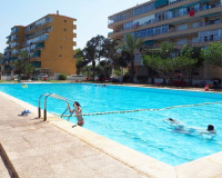 Venta - Estudio - Guardamar del Segura