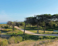 Venta - Estudio - Guardamar del Segura