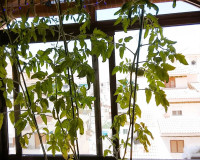 Venta - Estudio - La Mata