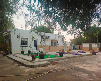 Venta - Finca - Elche Pedanías - Elche/Elx