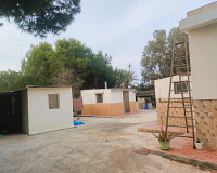 Venta - Finca - Elche Pedanías - Elche/Elx