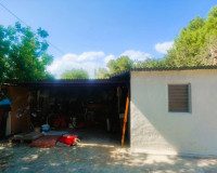 Venta - Finca - Elche Pedanías - Elche/Elx