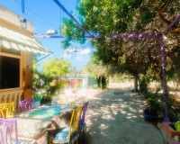 Venta - Finca - Elche Pedanías - Elche/Elx