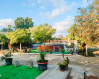 Venta - Finca - Elche Pedanías - Elche/Elx