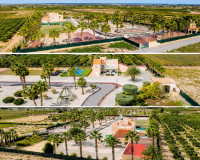 Venta - Finca - Elche Pedanías - Elche/Elx