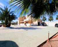 Venta - Finca - Elche Pedanías - Elche/Elx