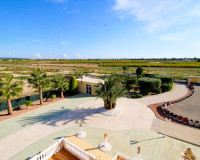Venta - Finca - Elche Pedanías - Elche/Elx