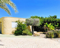 Venta - Finca - Elche Pedanías - Elche/Elx