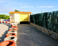 Venta - Finca - Elche Pedanías - Elche/Elx