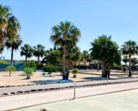 Venta - Finca - Elche Pedanías - Elche/Elx