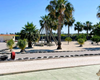 Venta - Finca - Elche Pedanías - Elche/Elx