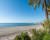 Venta - Finca - Elche Pedanías - Elche/Elx