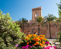Venta - Finca - Elche Pedanías - Elche/Elx
