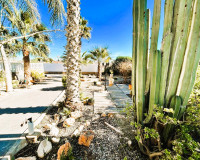 Venta - Finca - La Marina