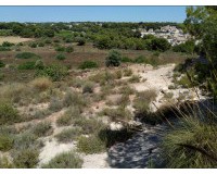 Venta - Parcela / Terreno - Pinar de Campoverde