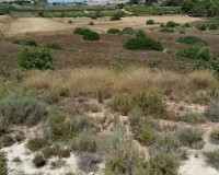 Venta - Parcela / Terreno - Pinar de Campoverde