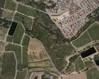 Venta - Parcela / Terreno - Pinar de Campoverde