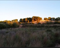 Venta - Parcela / Terreno - Pinar de Campoverde