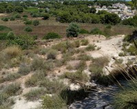 Venta - Parcela / Terreno - Pinar de Campoverde