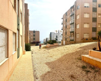 Venta - Planta baja - Torrevieja - TORREVIEJA