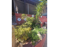 Venta - Villa - Dolores - Comunidad valenciana