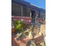 Venta - Villa - Dolores - Comunidad valenciana