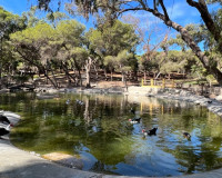 Venta - Villa - Guardamar del Segura