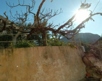 Venta - Villa - Murcia