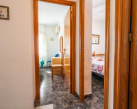 Venta - Villa - Orihuela - La Aparecida