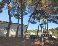 Venta - Villa - Torrevieja - TORREVIEJA