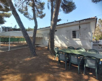 Venta - Villa - Torrevieja - TORREVIEJA