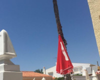 Venta - Villa - Torrevieja - TORREVIEJA