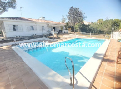 Villa freitstehend - Objekte zum Wiederverkauf - Torrevieja - TORREVIEJA