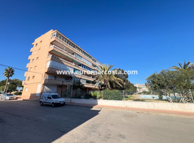 Wohnstudio · Objekte zum Wiederverkauf · Guardamar del Segura · Guardamar del Segura