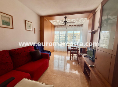Wohnstudio - Objekte zum Wiederverkauf - Torrevieja - TORREVIEJA