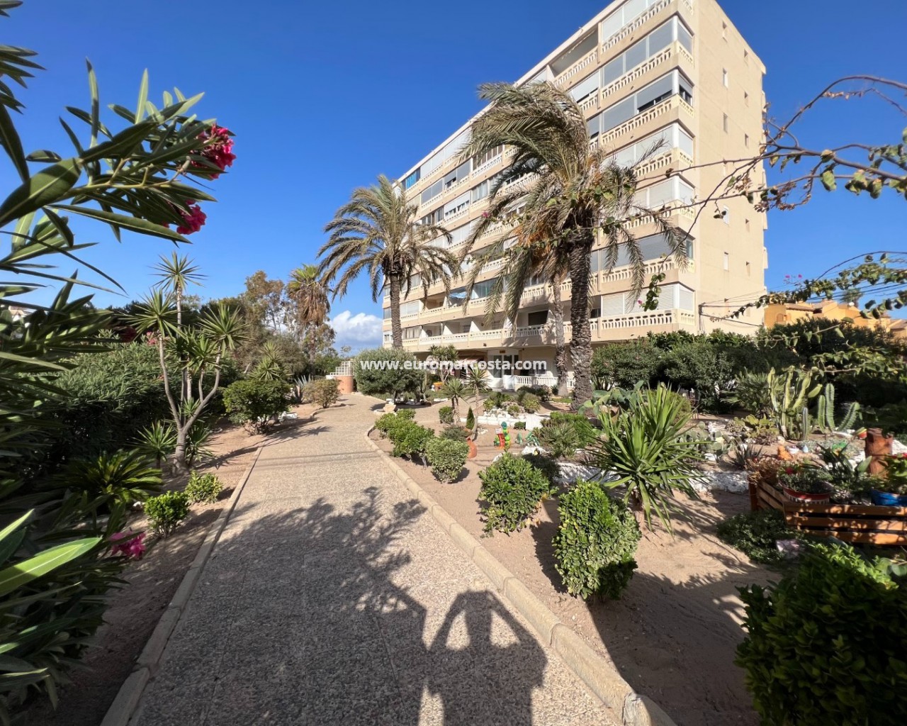 Wohnung · Objekte zum Wiederverkauf · La Mata · 4288