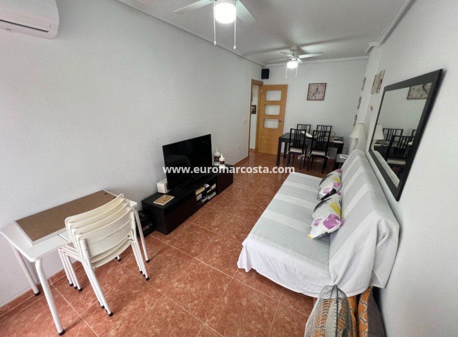 Venta - Apartamento / piso - Guardamar del Segura