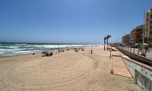 Venta - Apartamento / piso - Guardamar del Segura