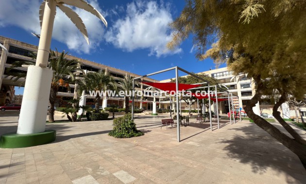 Venta - Apartamento / piso - Guardamar del Segura