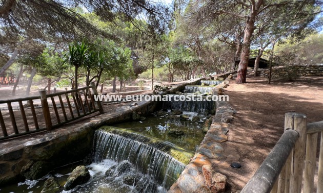 Venta - Apartamento / piso - Guardamar del Segura