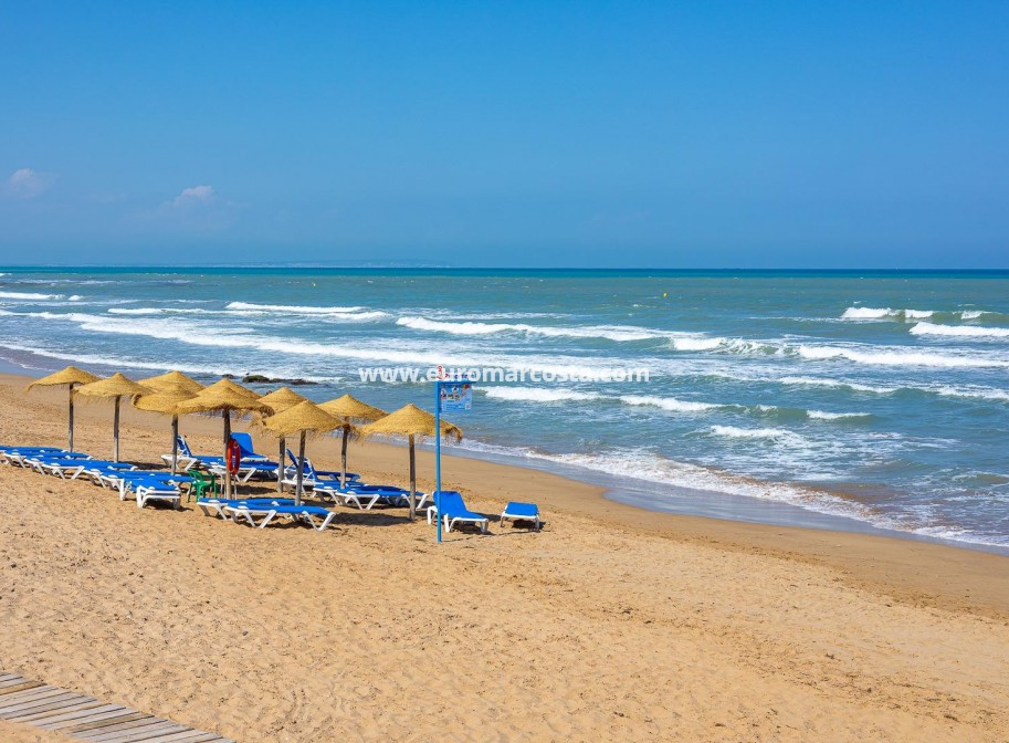 Venta - Apartamento / piso - La Mata