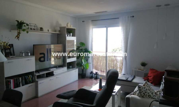 Sale - Apartment - Penthouse - Almoradi - Almoradí