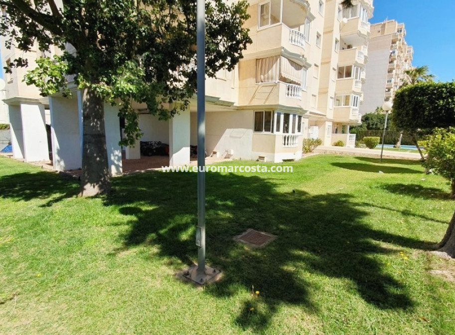 Objekte zum Wiederverkauf - Wohnung - Torrevieja - TORREVIEJA